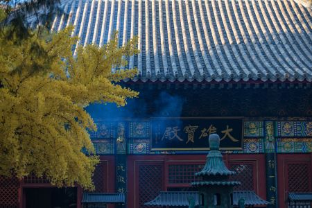建筑,中国,北京,红螺寺,传统建筑,历史古迹,寺庙,城镇,秋天,特写,植物,树叶