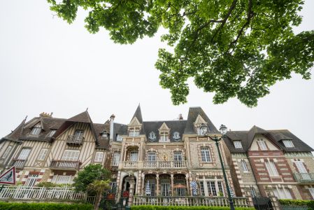 法国,建筑,国外,城镇,仰拍,植物,树