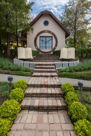 城镇,建筑,现代建筑,植物,树叶,树木