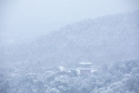 自然风光,雪,冬天,寺庙,宗教文化,碧云寺,中国,北京,建筑,植物,树木,山川,雾