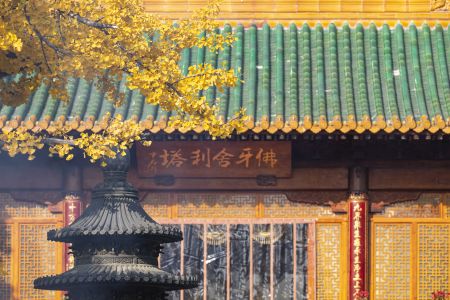 寺庙,宗教文化,树木,银杏,植物,自然风光,建筑,树叶,历史古迹,中国,北京