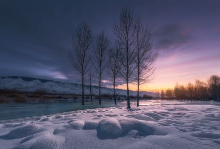 冬天,自然风光,天空,雪,清晨,树木,江河