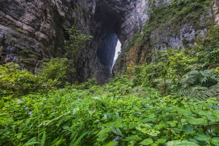 峡谷,瀑布,中国,重庆,自然风光,植物,青草,树木,藤类