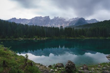 山川,树木,自然风光,生物,植物,青草