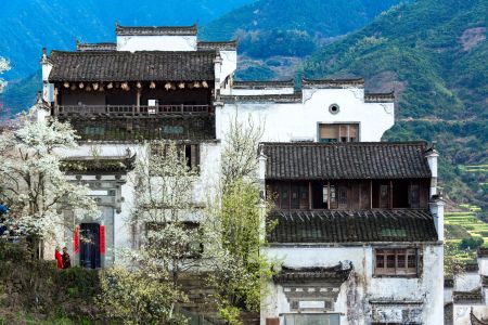 建筑,历史古迹,特写,自然风光,森林,植物,树木,城镇,山川