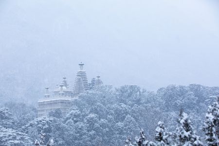 中国,北京,冬天,雪,冰雪,天空,树木,自然风光,碧云寺,植物,建筑,历史古迹,寺庙