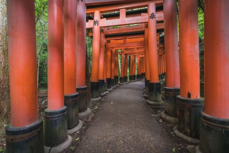 建筑,景点,千本鸟居,传统建筑,中式传统建筑,自然风光,国外,寺塔,现代建筑