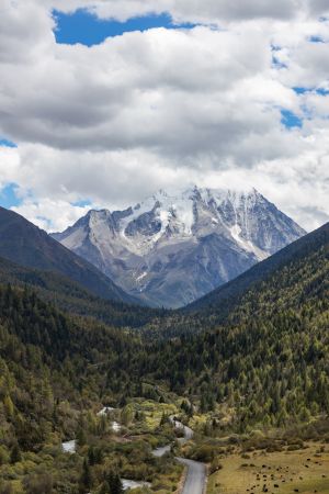 自然风光,全景,山川,白云,川西,中国,四川,植物,树木,天空,雪山,森林,道路,林区道路