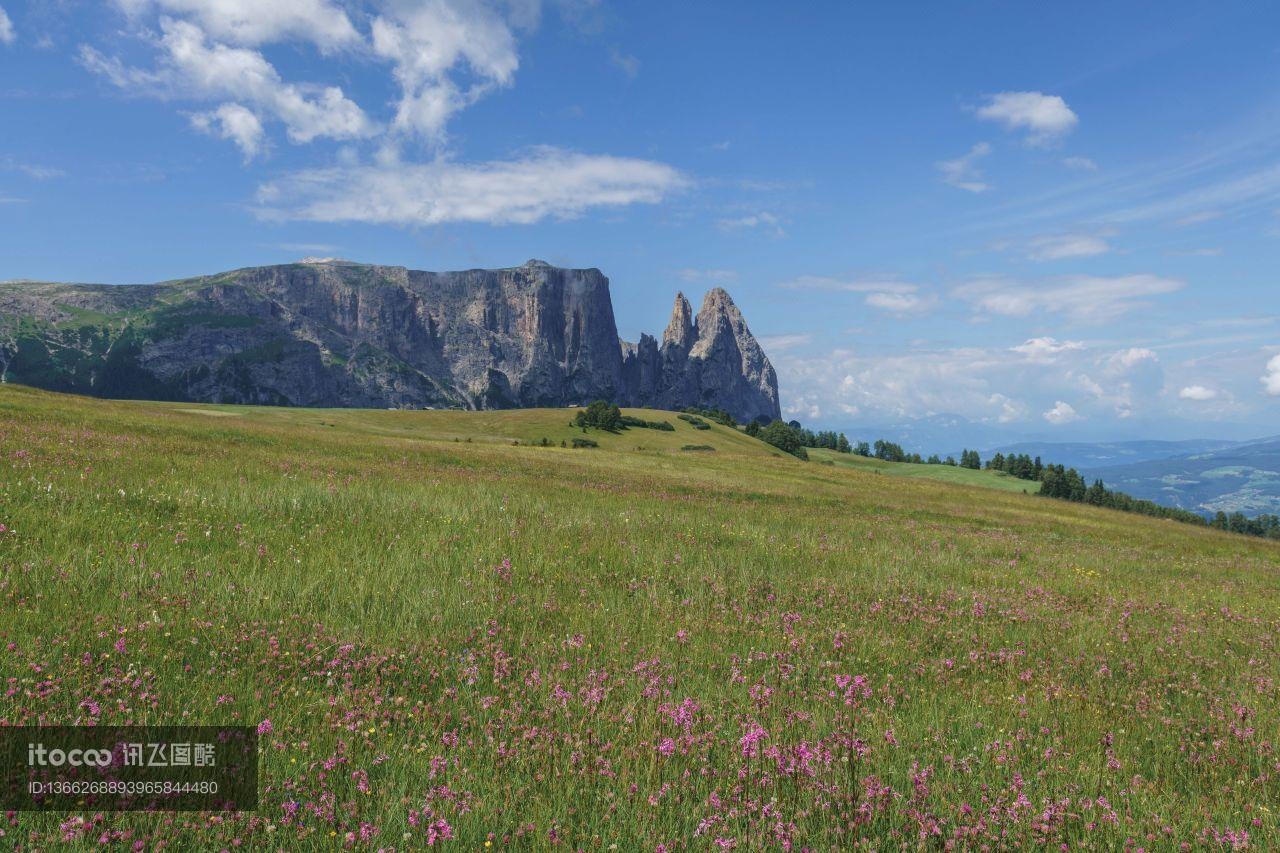 自然风光,青草,山峦