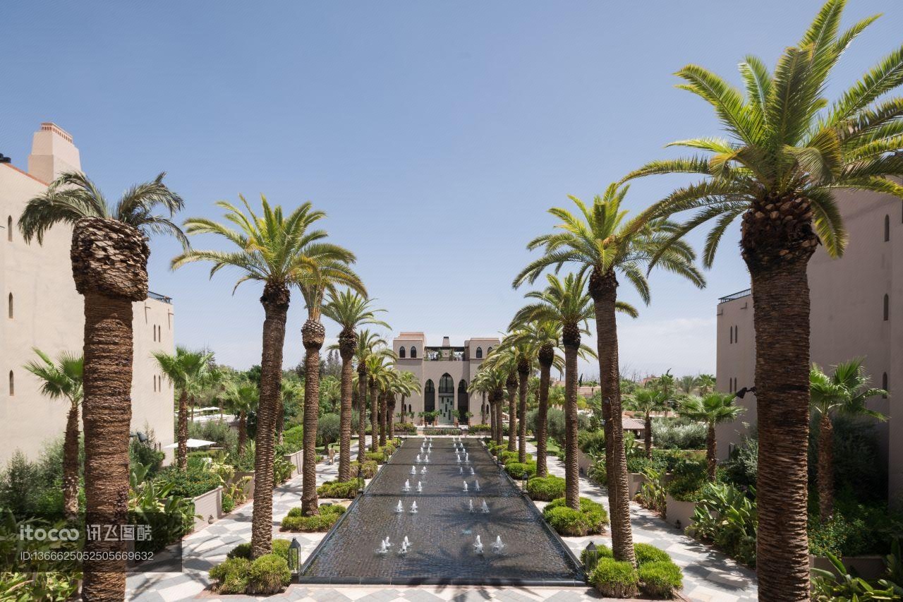 摩洛哥,喷泉池,植物