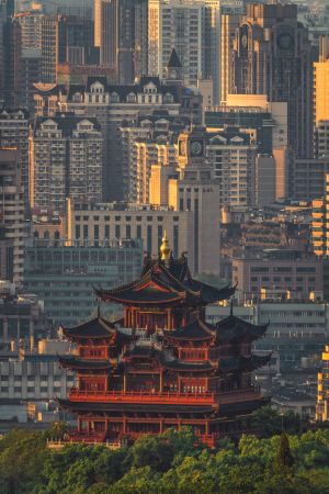 建筑,特写,俯瞰,航拍,历史古迹,城镇,都市,森林,植物,树木