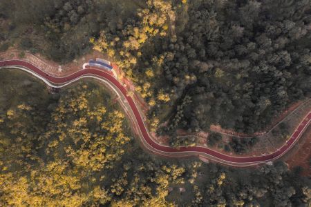 公路,山川,森林,自然风光,航拍,道路,交通工具