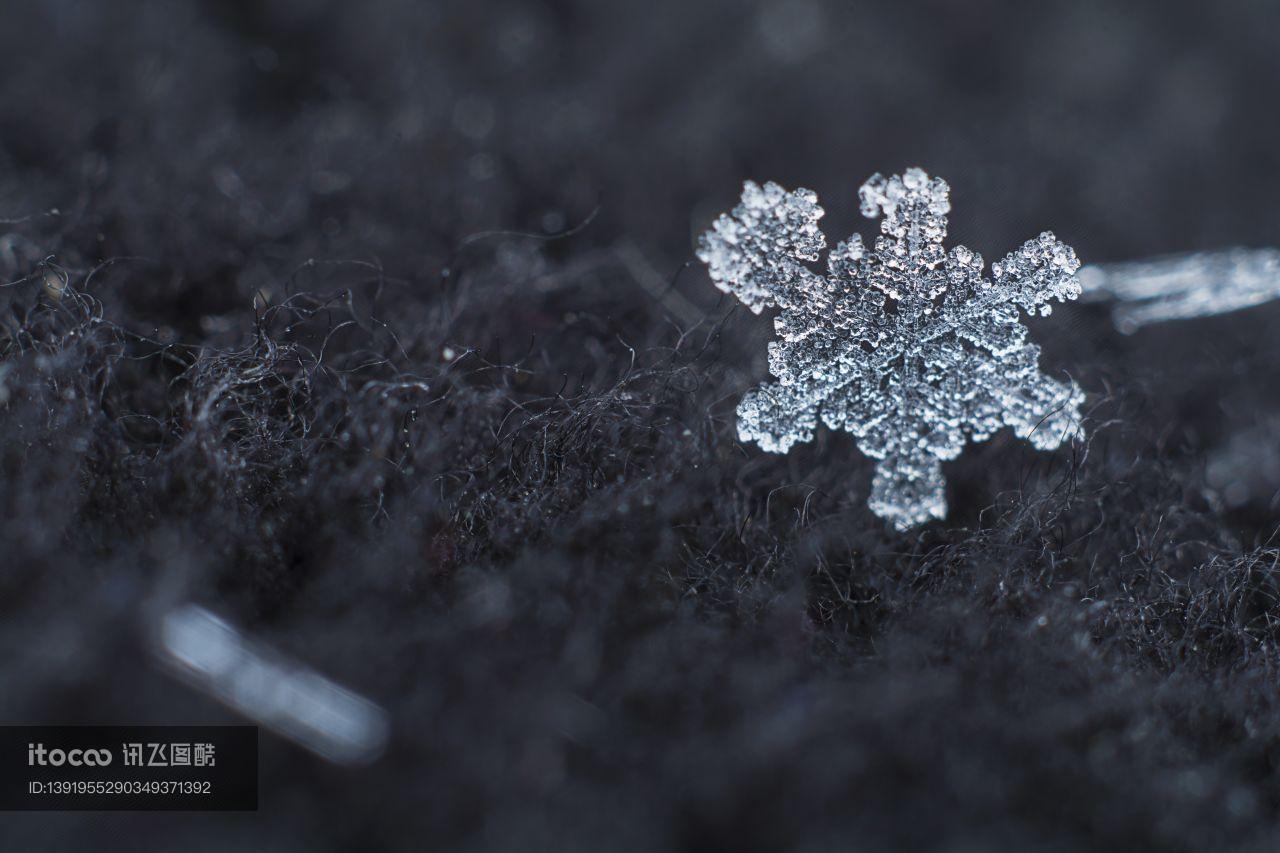 雪花,水晶,湿