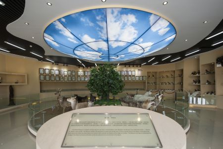 城镇,内蒙古,建筑,教堂,宗教文化,历史古迹,室内家居,景点,旅游