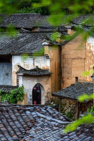 建筑,历史古迹,俯瞰,民居,传统建筑,城镇,特写,植物,树木