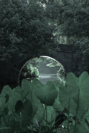 桥,树木,自然风光,湖泊,特写,中国,植物,城镇