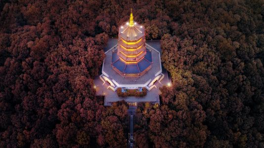 寺庙,航拍,景点,植物,建筑,自然风光,树木