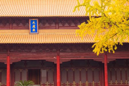 建筑,秋天,宫殿,中式传统建筑,历史古迹,城镇,植物,树木