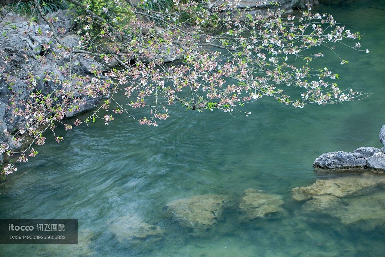 自然风光,江河,花