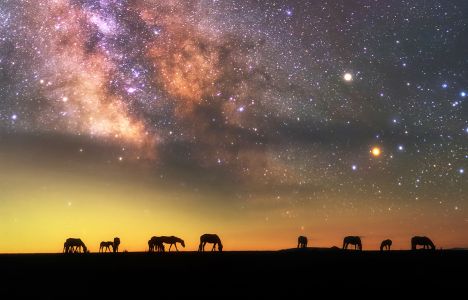 星空,夜晚,自然风光,天空,马,宇宙天文,马群,生物,全景,哺乳动物,动物