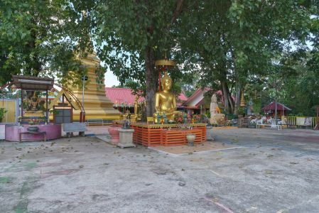 宗教文化,民俗风情,佛像,城镇,建筑,植物,树木