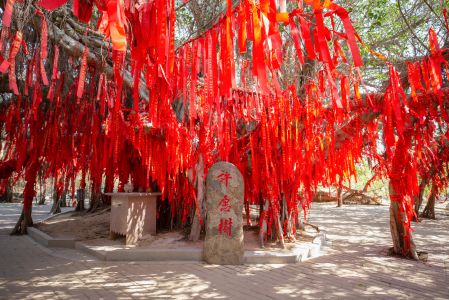 节日节气,城镇,建筑,寺庙,历史古迹,民俗风情