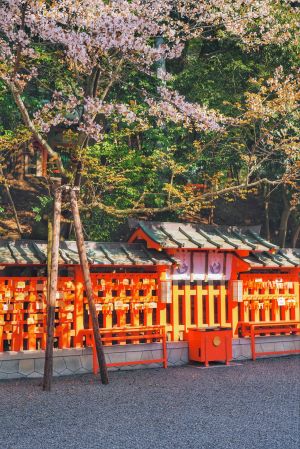 自然风光,城镇,花,建筑