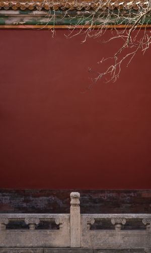 红墙,枯树枝,北京,植物,建筑,城镇