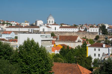 建筑,国外,葡萄牙,城镇,植物