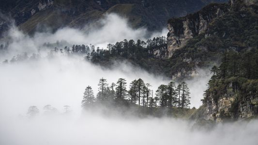 山川,云雾,自然风光,四川,森林,全景,雾,气候气象,山峦,四人同山,植物,树木,生物