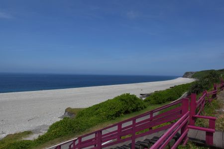 自然风光,海洋,沙滩,植物