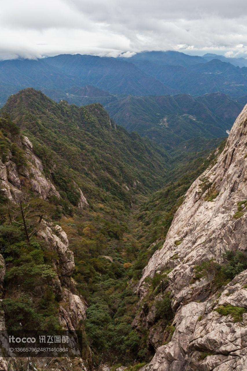 山峦,树,峡谷