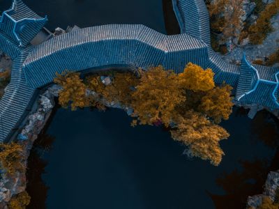 房屋,传统建筑,城镇,建筑,景点,古典园林,航拍,植物,树木