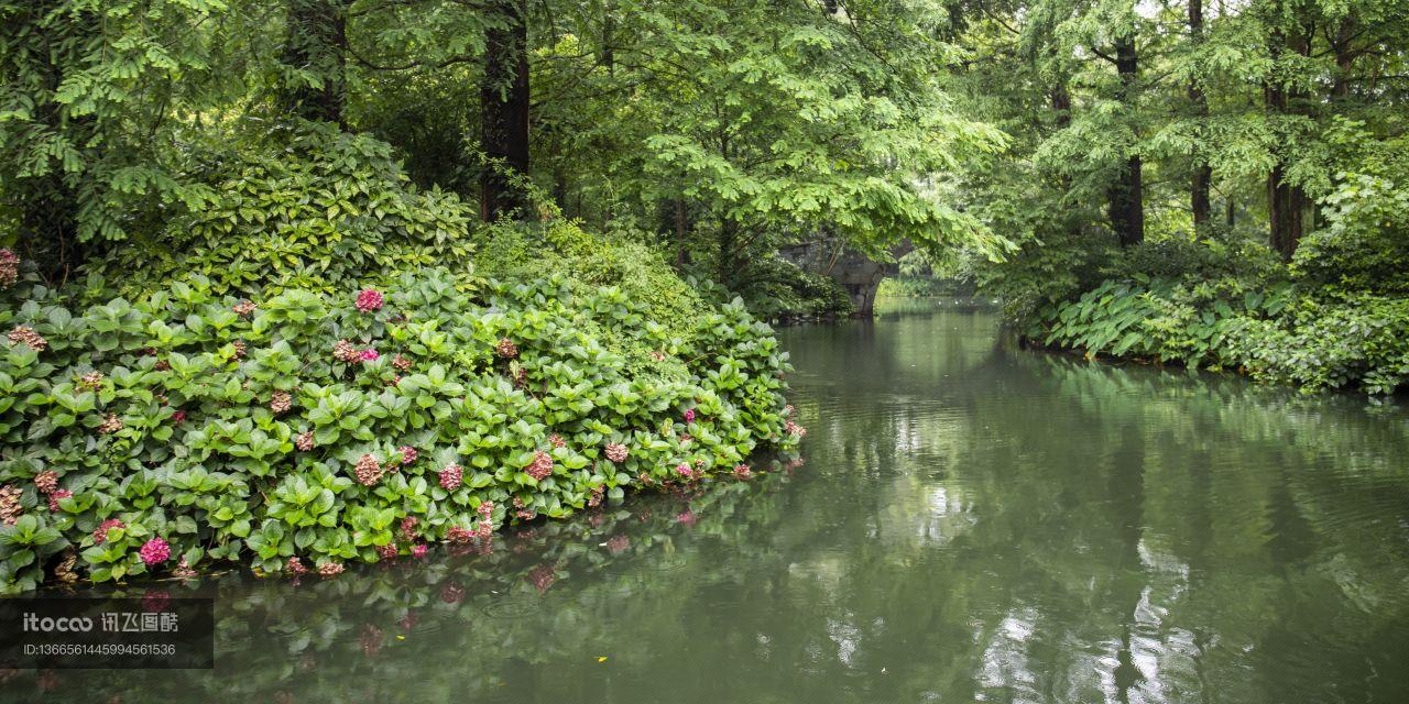 杭州,杭州西子湖四季酒店,植物