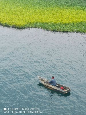 危地马拉,国外,自然风光,船,交通工具,湖泊