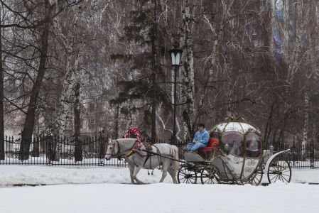 冰雪,人物活动,自然风光,森林,雪,动物,马,国外,交通工具,俄罗斯