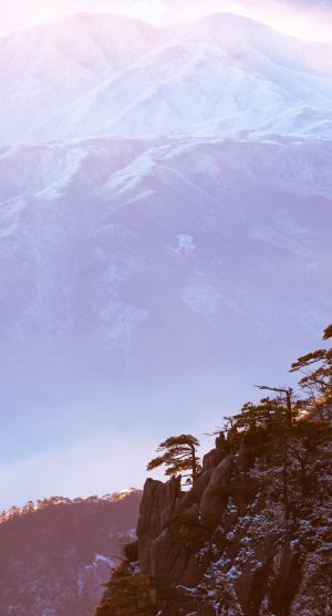 自然风景,自然风光,雪山,植物,天空,树木,树叶