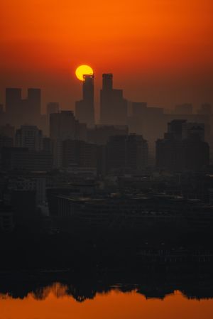 太阳,城镇,建筑,天空,植物