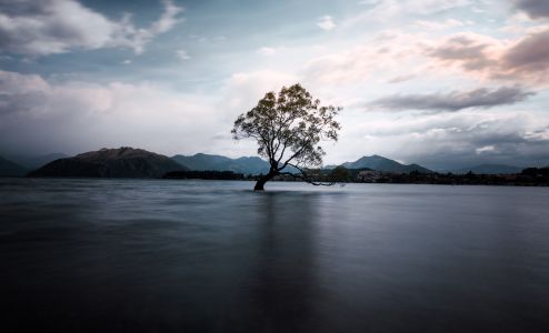 自然风光,湖泊,天空,特写,山川,乌云,植物,树木
