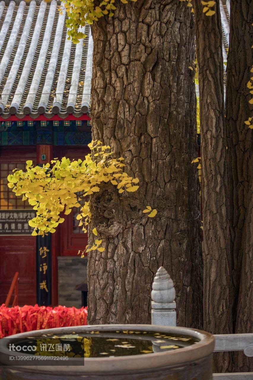 中国,北京,红螺寺