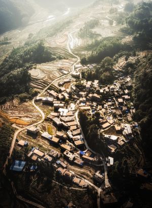 航拍,俯瞰,传统建筑,建筑,自然风光,树木,植物