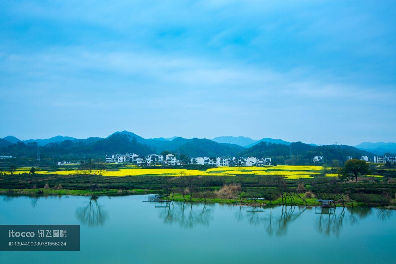 植物,江河,天空