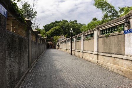 天空,城市道路,白云,城镇,树木,建筑,植物