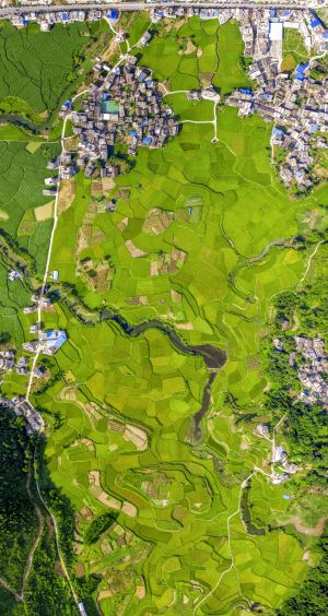 平原,航拍,自然风光,山川,树木