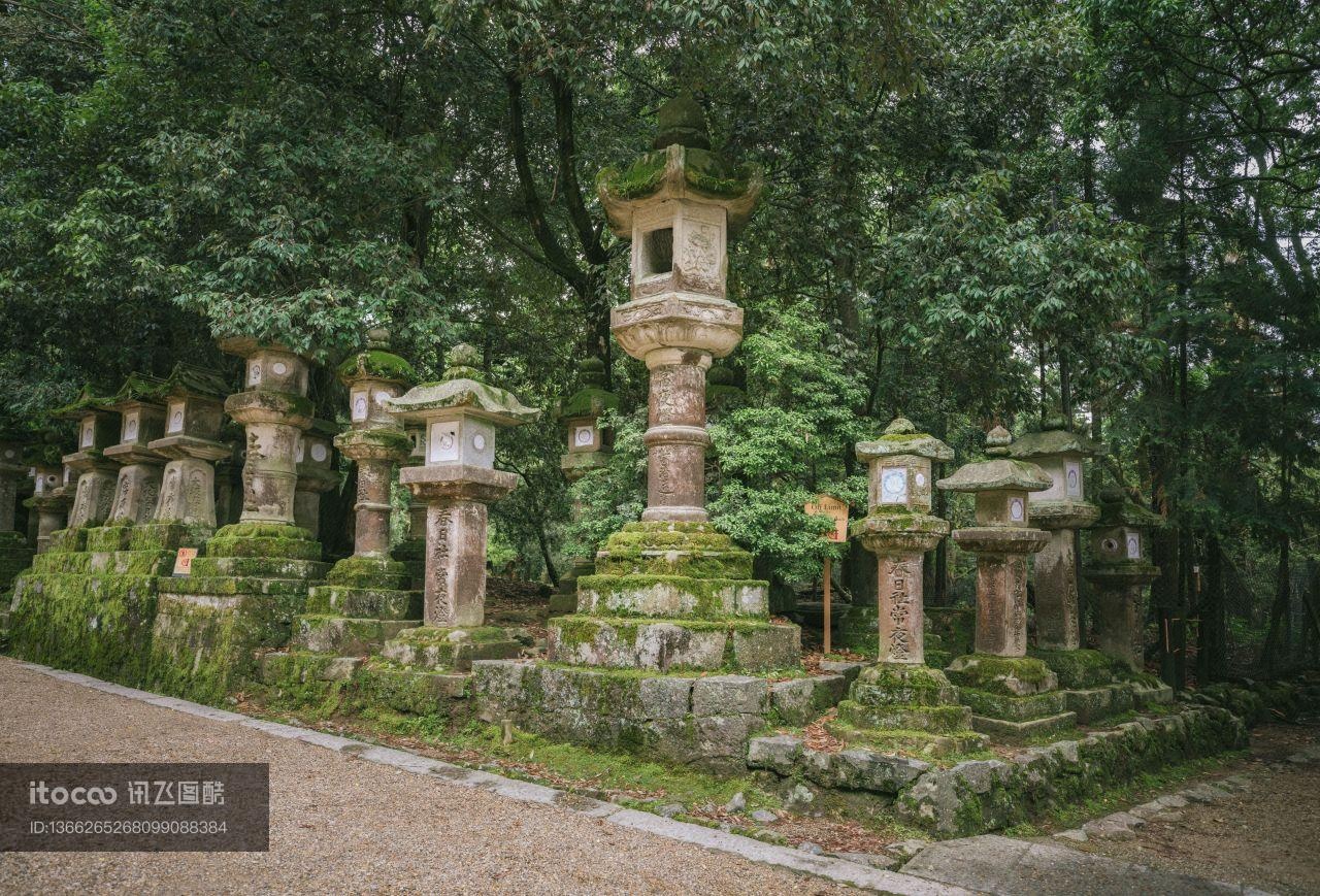 自然风光,建筑,春日社