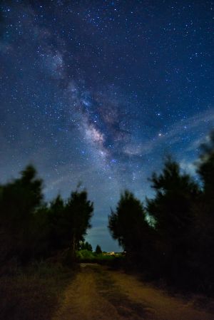 星空,森林,林间小路,自然风光,夜晚