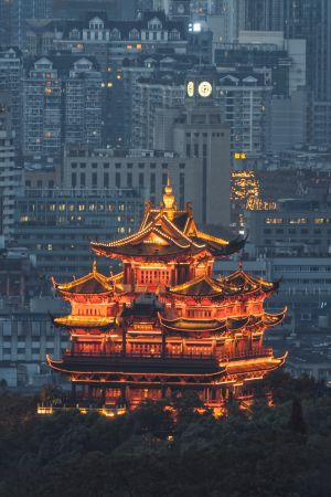 夜晚,建筑,特写,俯瞰,航拍,都市夜景,历史古迹,城镇,都市,森林,植物,树木