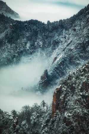 山川,森林,自然风光,全景,俯瞰