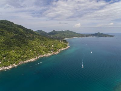 自然风光,海洋,海岛,沙滩,森林