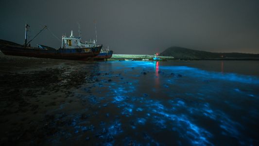 自然风光,天空,船,夜晚,蓝眼泪,交通工具,海洋,山川